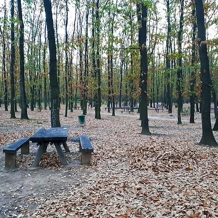 Forest Escape - 2 Bedroom Apartment *
