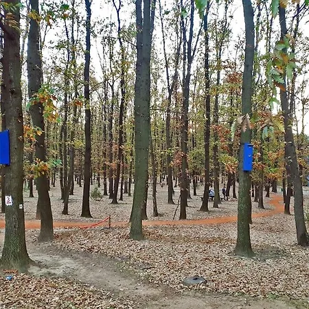 Forest Escape - 2 Bedroom